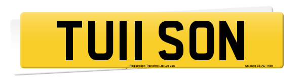 Registration number TU11 SON